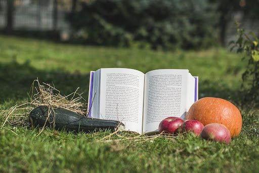 Warsztaty metodyczne dla nauczycieli pt. ,,Poznaj naturę przez film i literaturę” w ramach kampanii pt.: „Co możemy zrobić dla środowiska, by chronić bioróżnorodność? Rola i zadania szkoły w obszarze ekologii”.